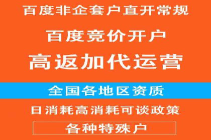 百度竞价策略成功案例：如何做到日赚千元